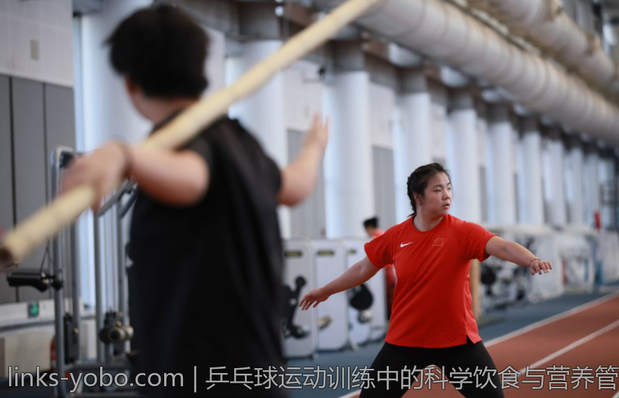 乒乓球运动训练中的科学饮食与营养管理