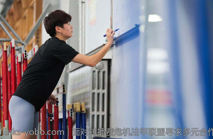面对转播费危机法甲联盟寻求多元合作策略